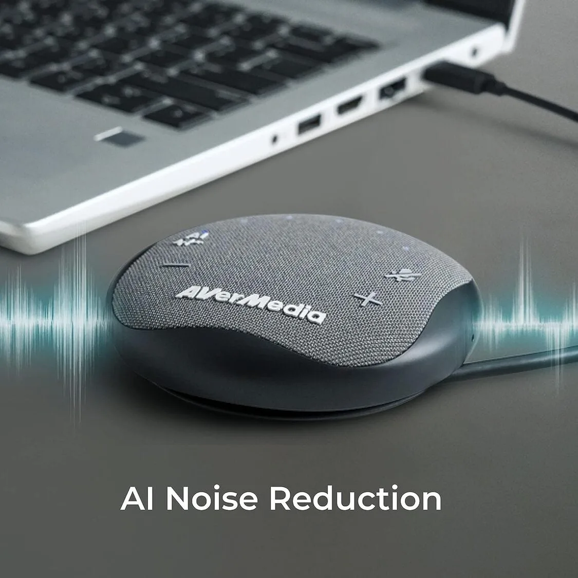 Avermedia Smart Speakerphone AS315, vue 6