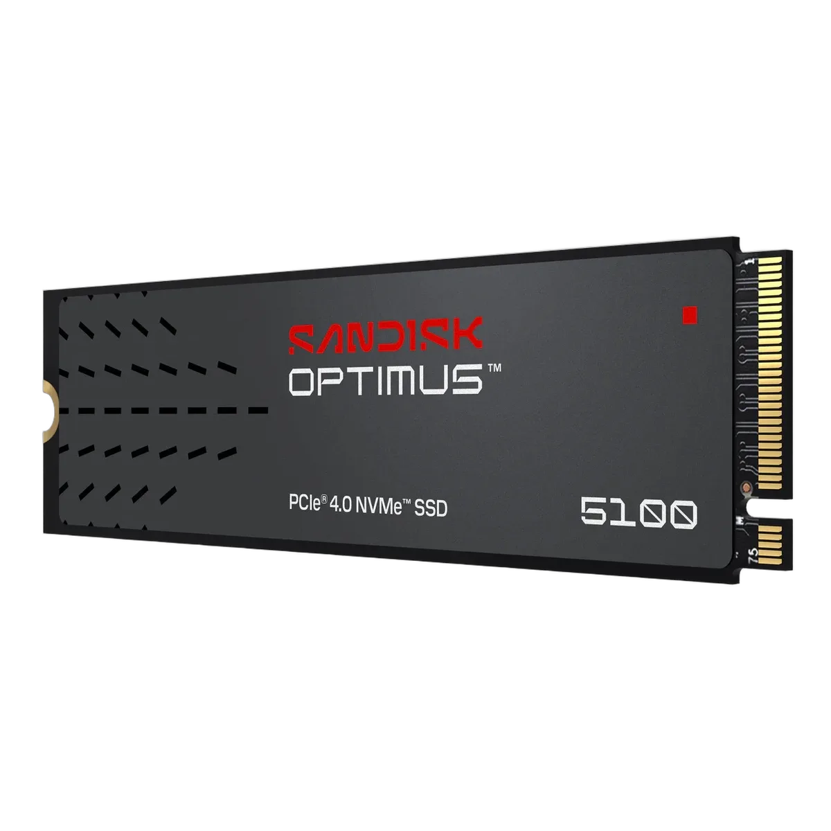 Sandisk Optimus 5100 4To M.2, vue 1