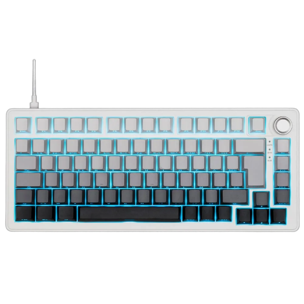 The G-LAB Keyz Elite 300 HE GRW 75% - Magnétique - Filaire - RGB - Gris/Blanc, vue 1