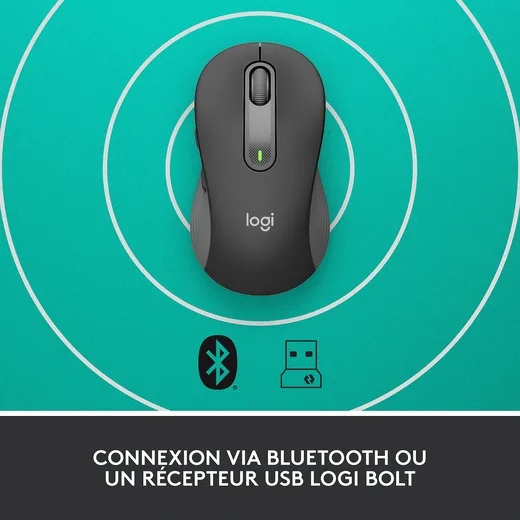 Logitech Signature M650 L - Sans-Fil - Graphite
