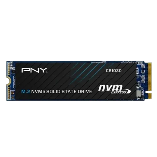 PNY CS1030 250Go M.2