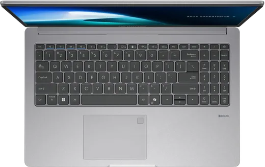 Asus ExpertBook P1 - 15.6" FHD Core 3 100U 16Go 256Go W11P