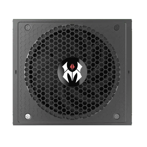 Gigabyte Bundle Geforce RTX 5080 WINDFORCE SFF 16G + 1050W 80+ Gold, vue 11