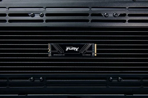 Kingston Fury Renegade 1To M.2 Gen5