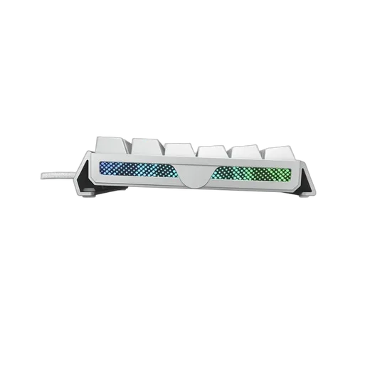 Cherry MX 3.1 - Mécanique - Filaire - RGB - Blanc