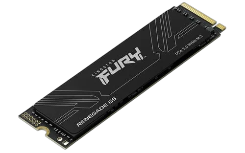 Kingston Fury Renegade 1To M.2 Gen5