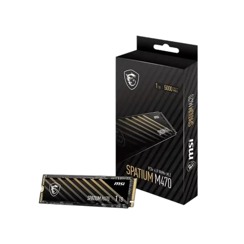 MSI SPATIUM M470 1To M.2