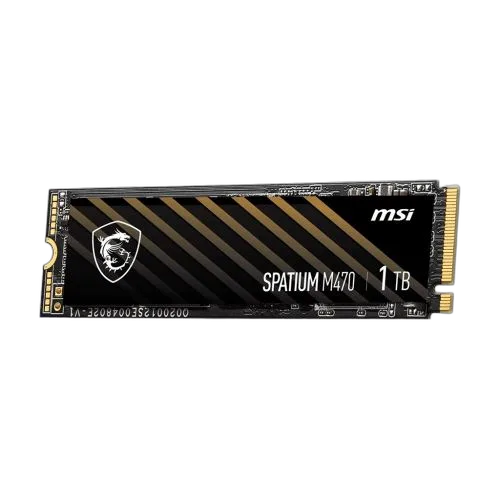 MSI SPATIUM M470 1To M.2