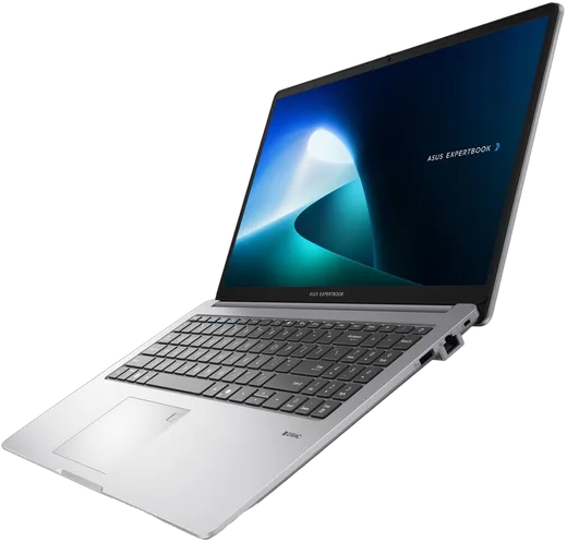 Asus ExpertBook P1 - 15.6" FHD Core 3 100U 16Go 256Go W11P