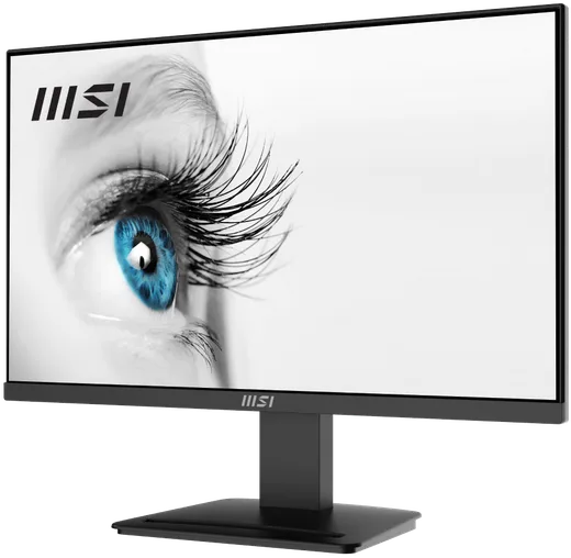 MSI PRO MP2412 - 24" FHD 100Hz VA 1ms FreeSync