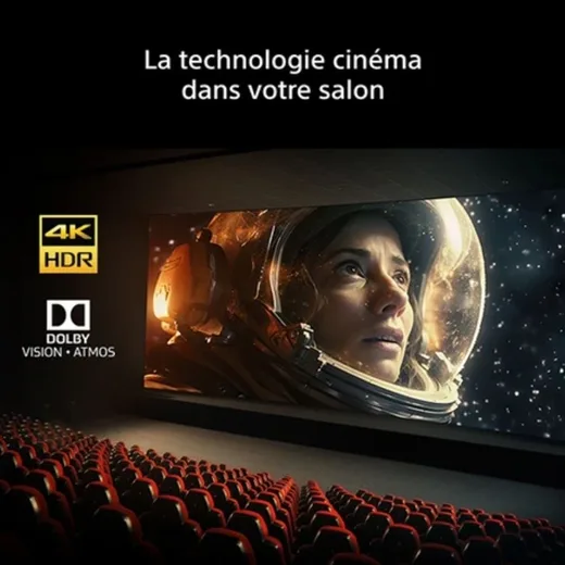 Sony Bravia 6 K65A65PB - 65" OLED 4K 120Hz Google TV Wifi Bluetooth HDR10