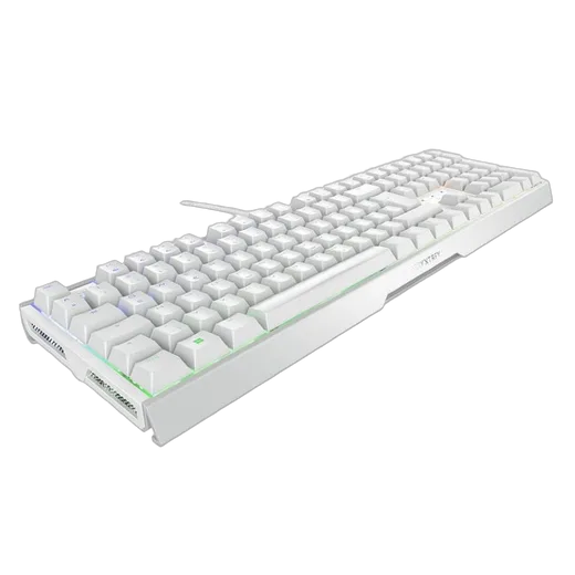 Cherry MX 3.1 - Mécanique - Filaire - RGB - Blanc