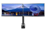 Iiyama DS1002C-B1 - VESA 75x75 ou 100x100, miniature 1